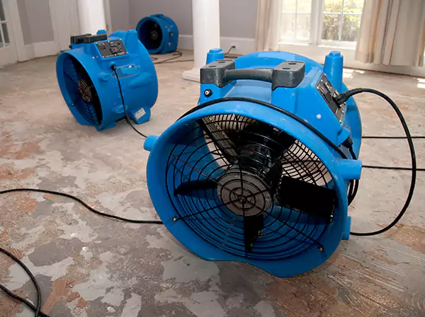 Water Damage Reconstruction in Statham