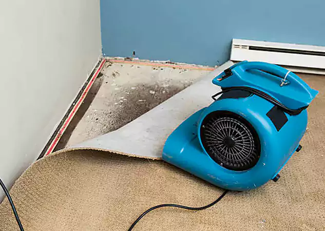 Your Water Damage Experts in Statham, GA