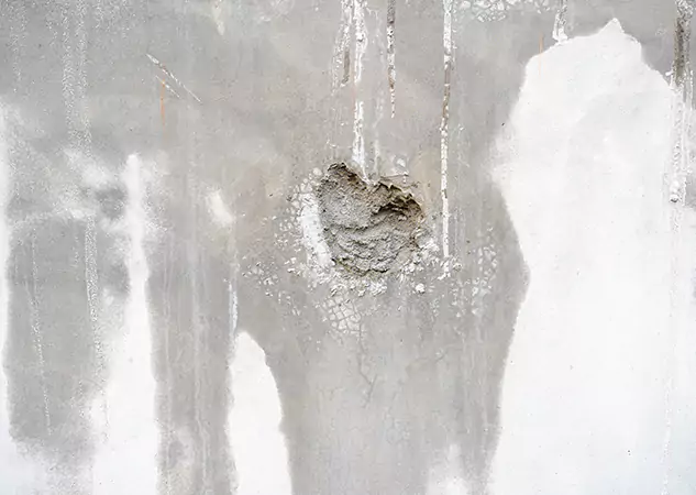 Your Mold Mitigation Solutions Partner in Statham, GA