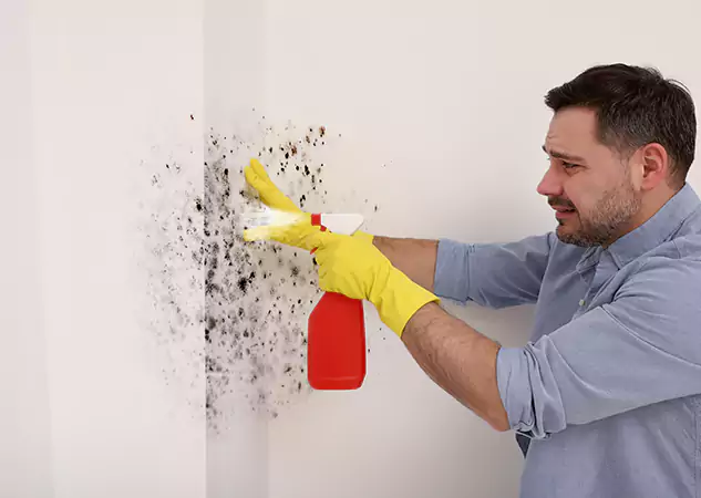 Your Water Mold Fire Restoration Partner in Statham, GA