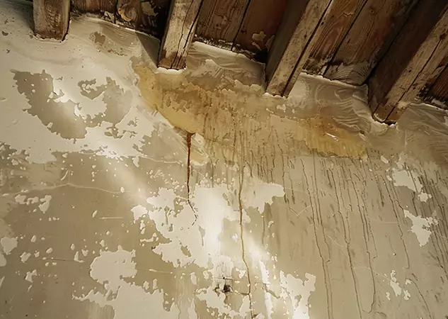 Your Trusted Restoration Company in Statham, GA