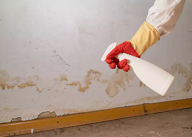 Your Water Restoration and Mold Remediation Specialists in Statham, GA