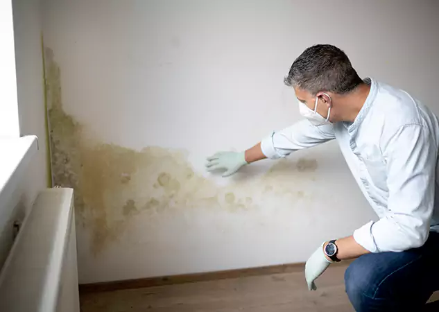 Reach Our Remediation Team Before Damage Grows in Statham, GA!