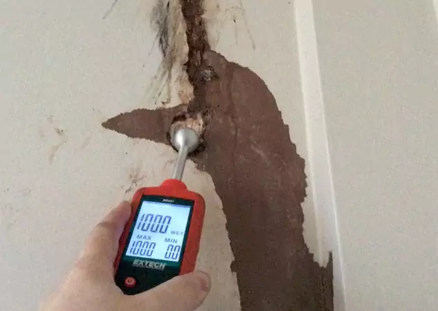 Your Water Damage Assessment Partner in Statham, GA