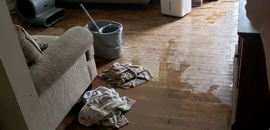 Professional Basement Water Remediation Services in Statham, GA