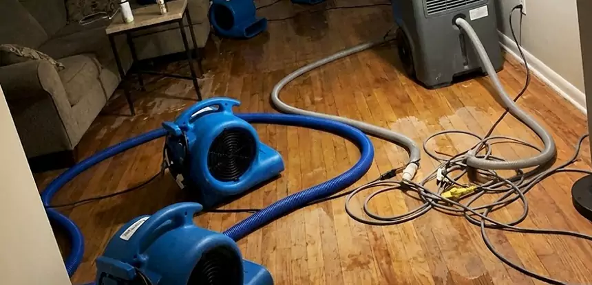 Basement Flood Restoration Services in Statham