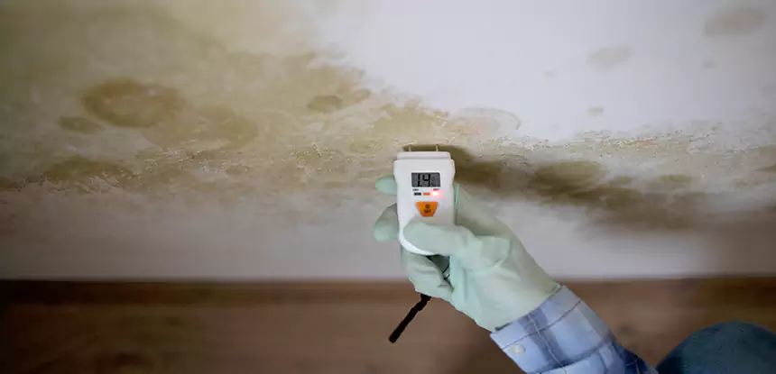 Emergency Mold Remediation in Statham