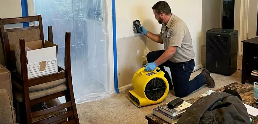Carpet Water Damage Repair Statham