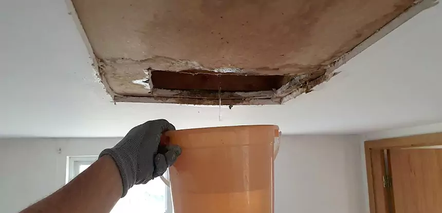 Ceiling Mold Repair Statham