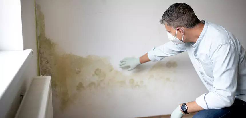 Mold and Water Damage Repair in Statham