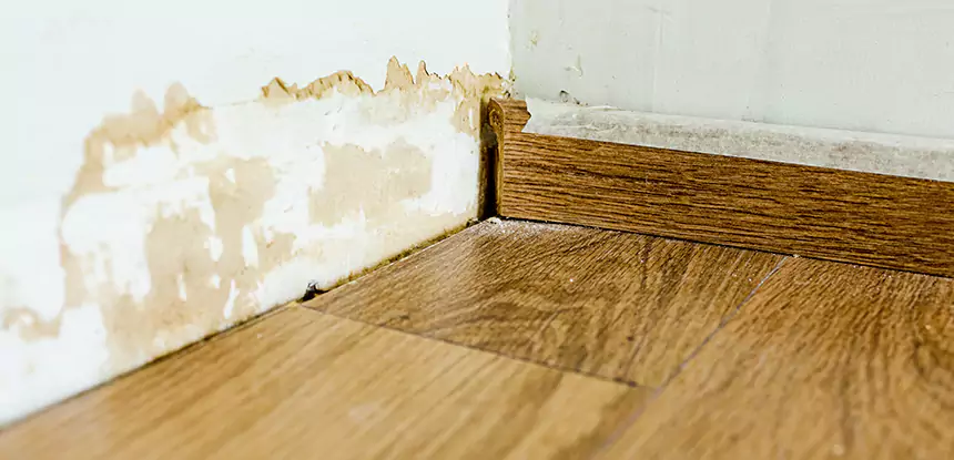 Professional Fix Water Damaged Wood Services in Statham, GA