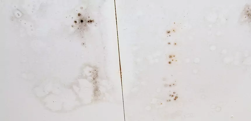 Professional Water Stain Repair Services in Statham, GA