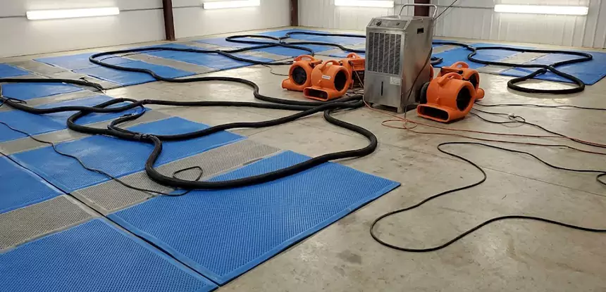 Professional Flooded Carpet Drying Services in Statham, GA