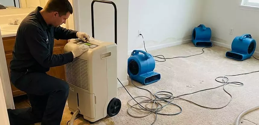 Professional Wet Carpet Removal Services in Statham, GA