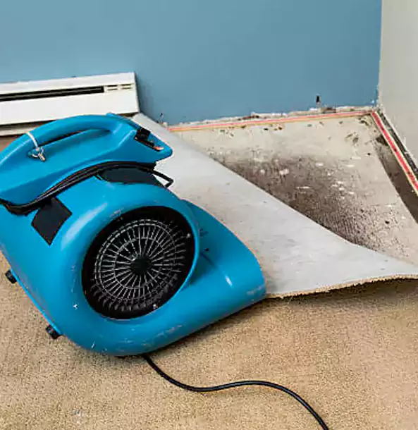 Why Statham Trusts Statham Restoration Pro for Carpet Flood Recovery?