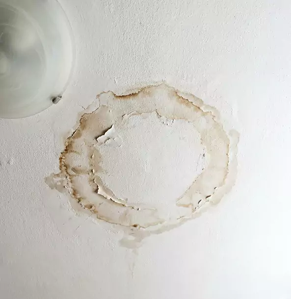 Why Statham Property Owners Choose Statham Restoration Pro for Ceiling Water Damage Restoration?