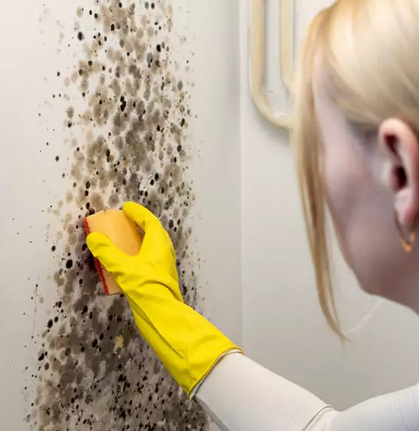 Why Statham Restoration Pro Leads Mold Remediation in Statham?
