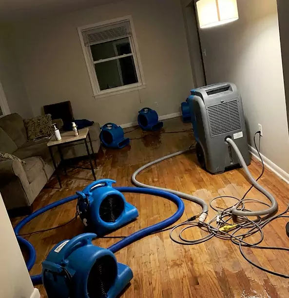 Why Statham Property Owners Rely on Statham Restoration Pro for Remediation?
