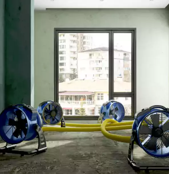 Why Statham Property Owners Trust Statham Restoration Pro for Water Damage Drying?