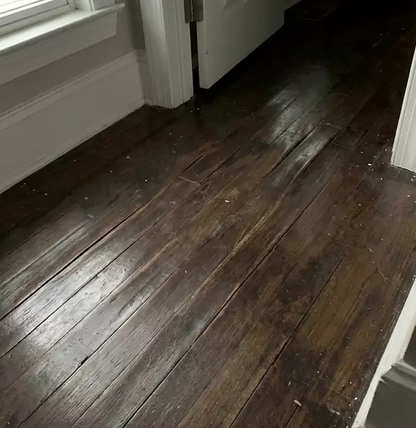Why Statham Homeowners Trust Statham Restoration Pro to Fix Water Damaged Wood?