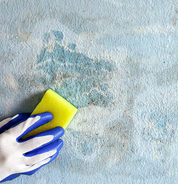 Why Statham Restoration Pro Is the Right Choice in Statham, GA?