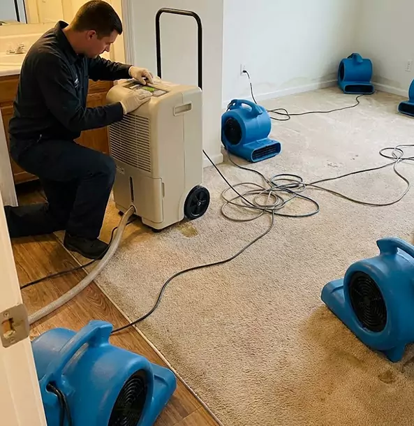 Why Statham Homeowners and Businesses Trust Statham Restoration Pro for Carpet Drying?