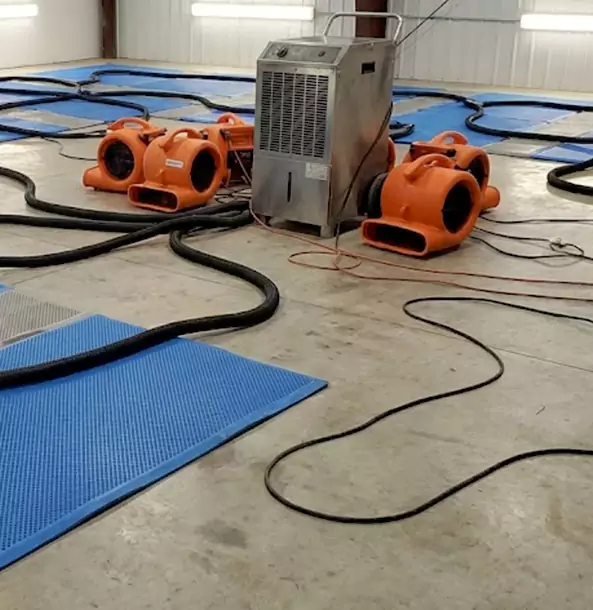 Why Statham Homeowners and Businesses Choose Statham Restoration Pro for Wet Carpet Removal?