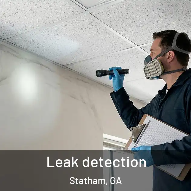  Leak detection Statham, GA