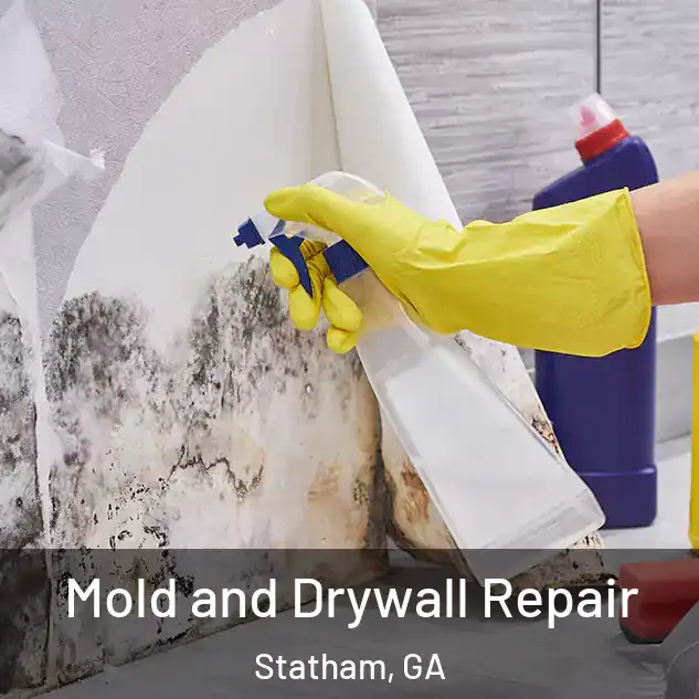  Mold and Drywall Repair Statham, GA