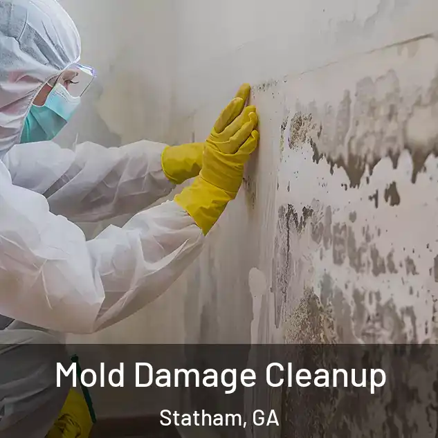  Mold Damage Cleanup Statham, GA