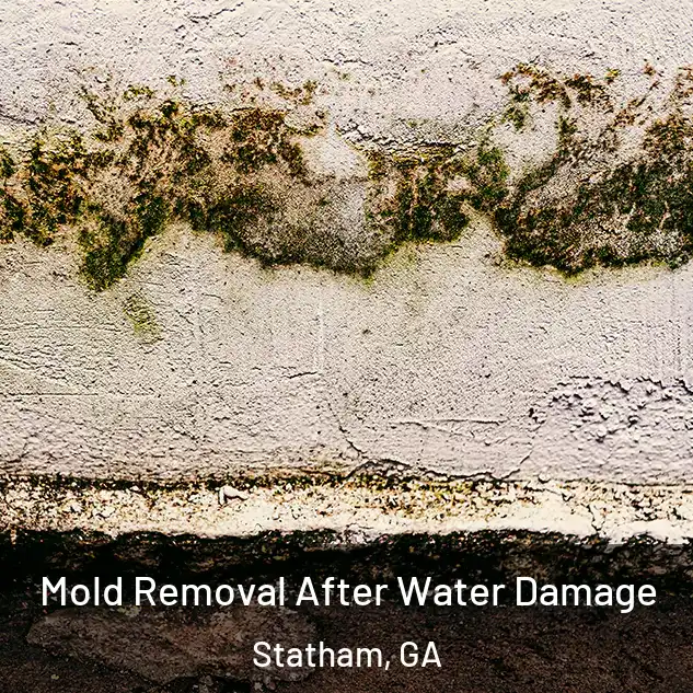  Mold Removal After Water Damage Statham, GA