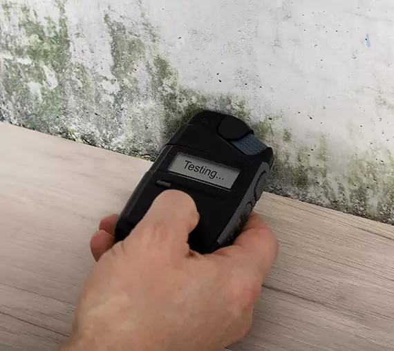 Mold Remediation Service Statham