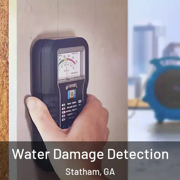  Water Damage Detection Statham, GA
