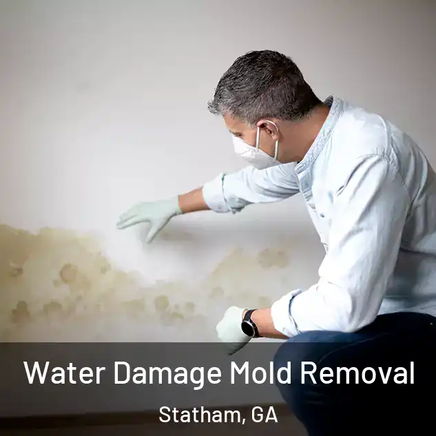  Water Damage Mold Removal Statham, GA